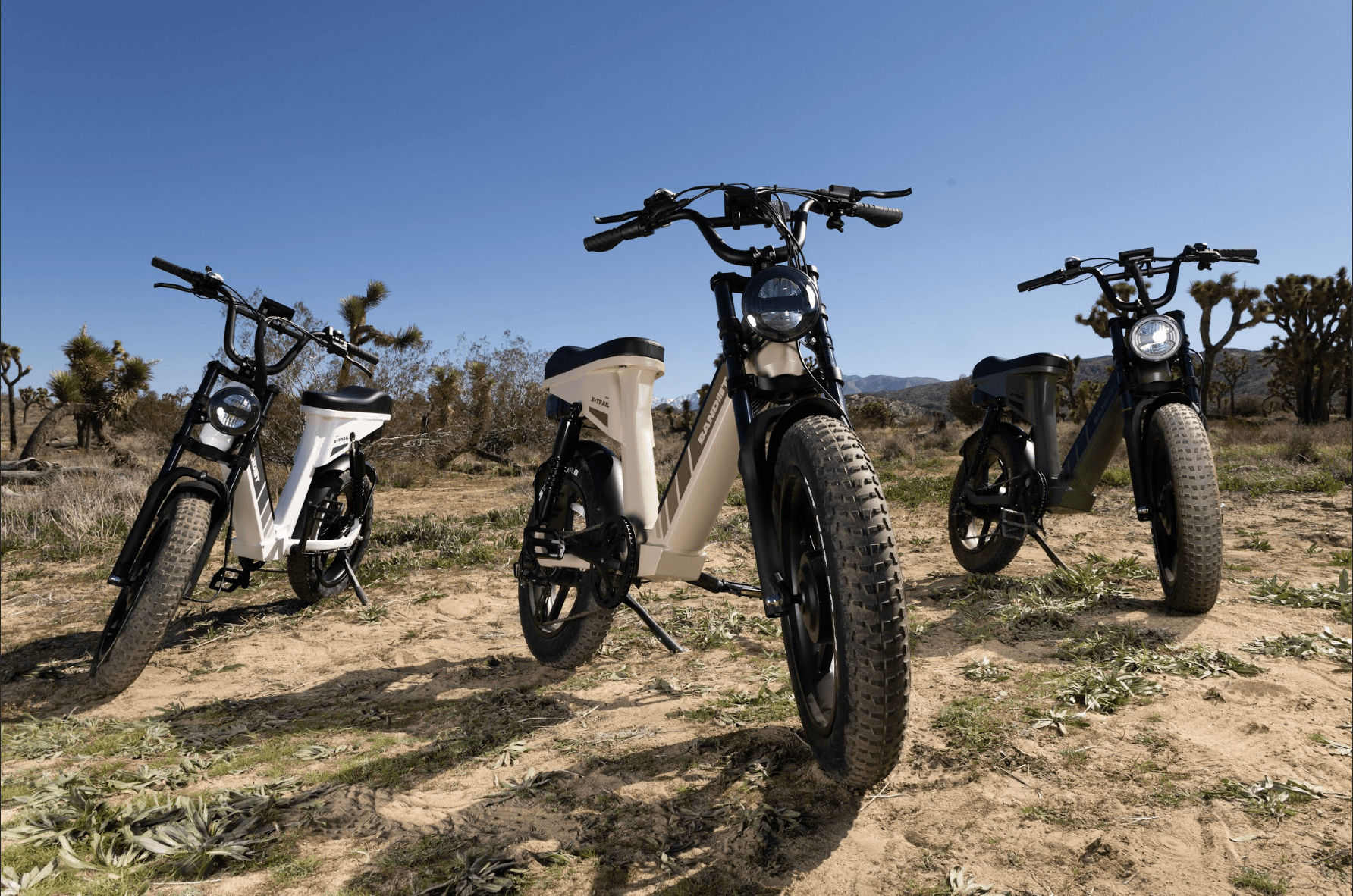 What are different types of E-bikes? How to choose your E-bikes?